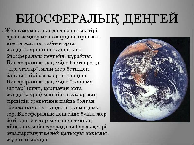 Биосферный уровень общая характеристика. Биосферный уровень. Биосферный уровень организации. Биосферный уровень организации жизни. Биосферный уровень картинки.