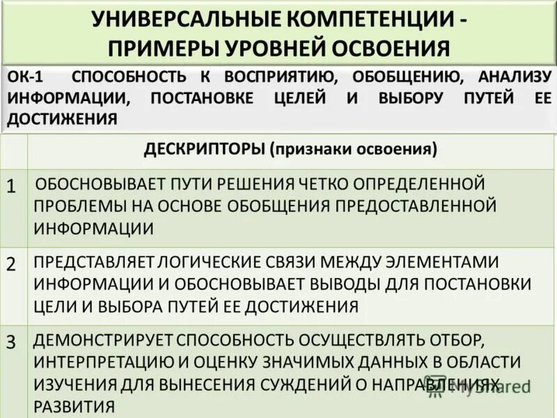 К внешним компетенциям относится. Универсальные компетенции примеры. Уровень освоения компетенций пример. Дескрипторы уровней освоения компетенций. Уровень освоения общих компетенций в характеристике.