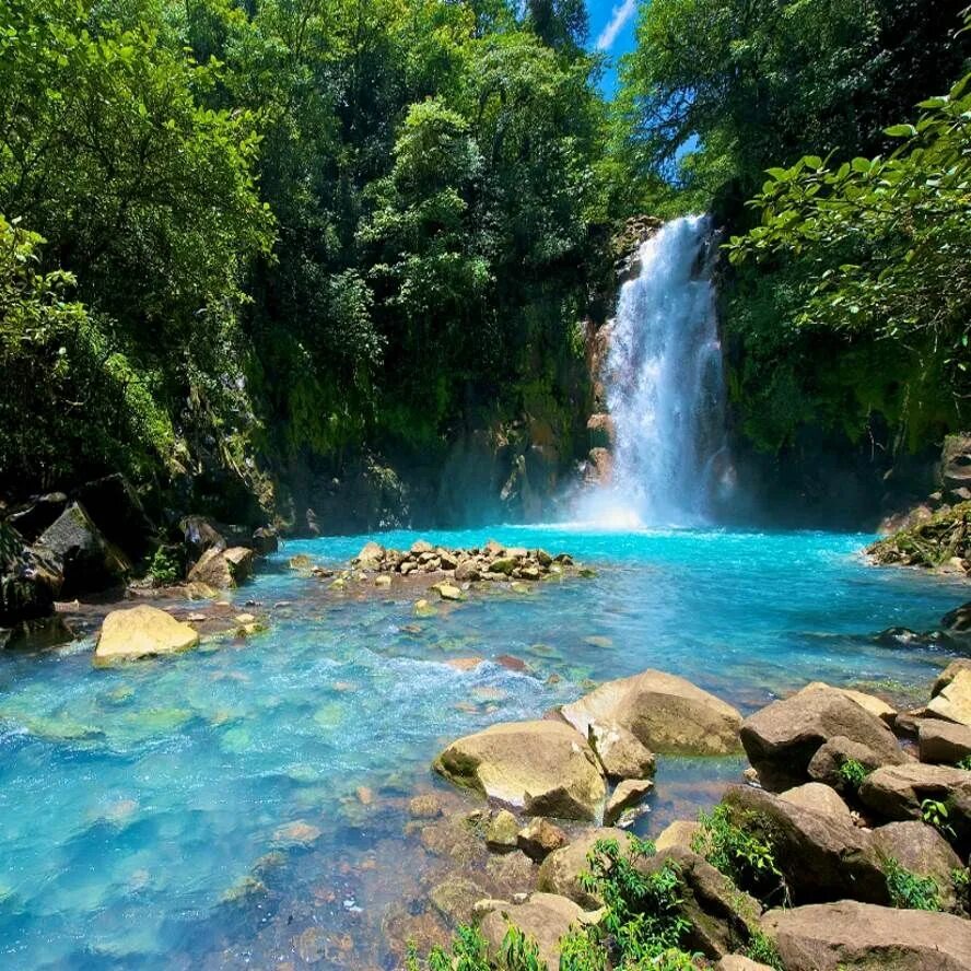 Водопады Рио Селесте Коста Рика. Tenorio National Park Costa Rica. Ямайка национальный парк “водопад голубая дыра”. Лагуна с водопадом.