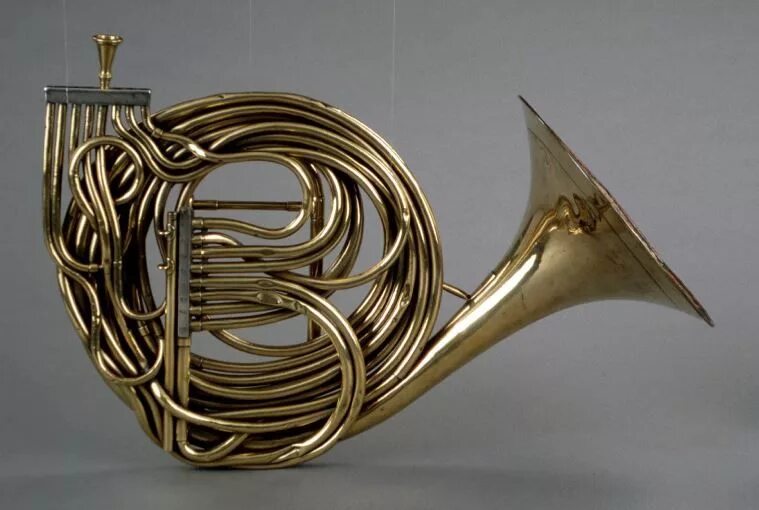 Валторна какой музыкальный инструмент. French horn музыкальный инструмент. валторна духовой музыкальный инструмент. валторна holton 77. валторна ряхин.
