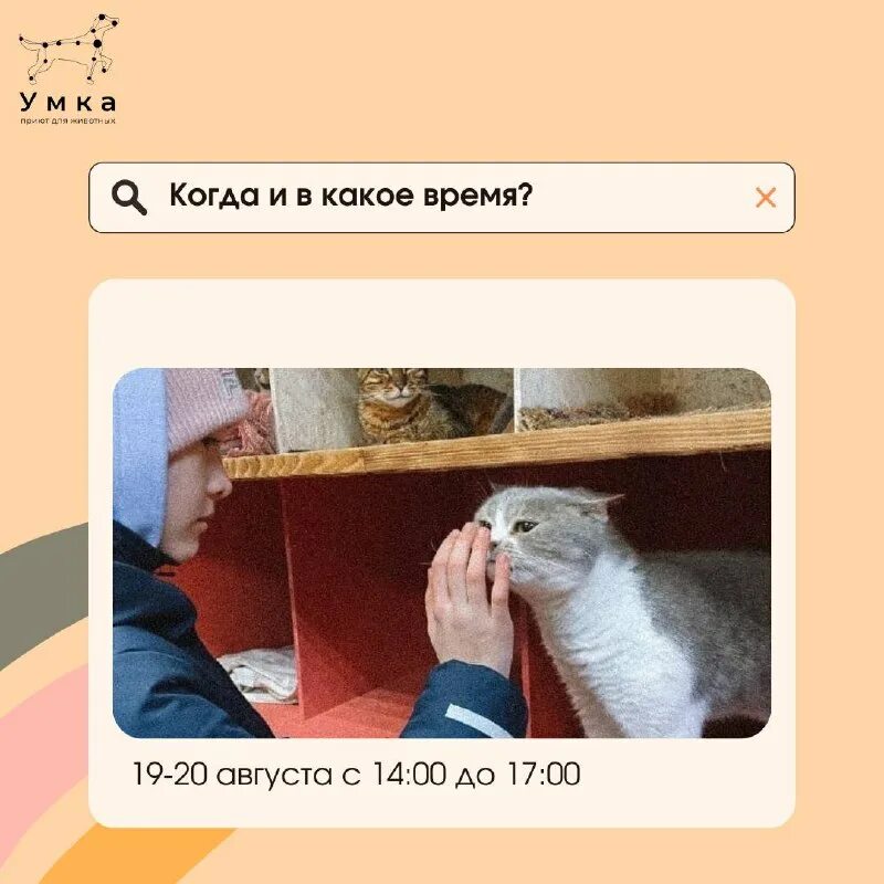 умка приют для животных владивосток