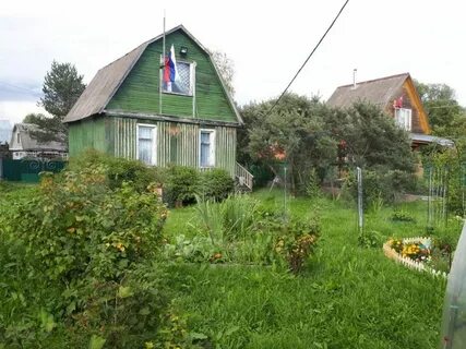 Снт росинка
