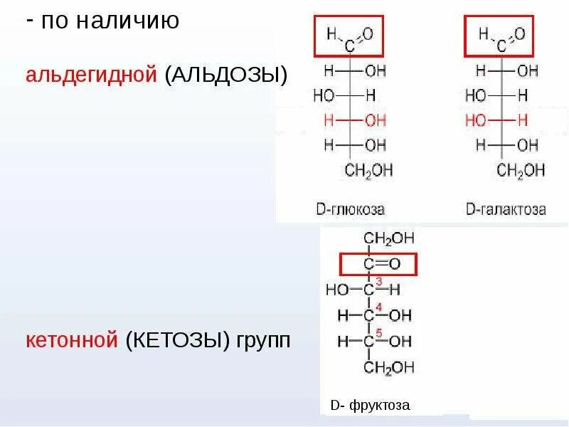4 кетозы. Моносахариды альдозы. качественные реакции на альдозы и кетозы. углеводы альдозы и кетозы. качественная реакция на альдозы.