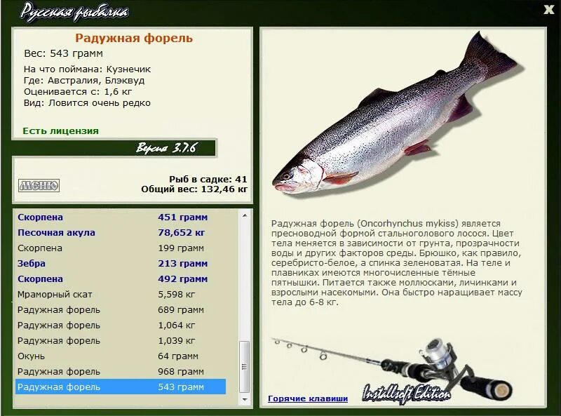 Крупные форели вид подчинительной. Радужная форель (Oncorhynchus mykiss). Форель вес. Вес рыбы форель. Размер форели весом.