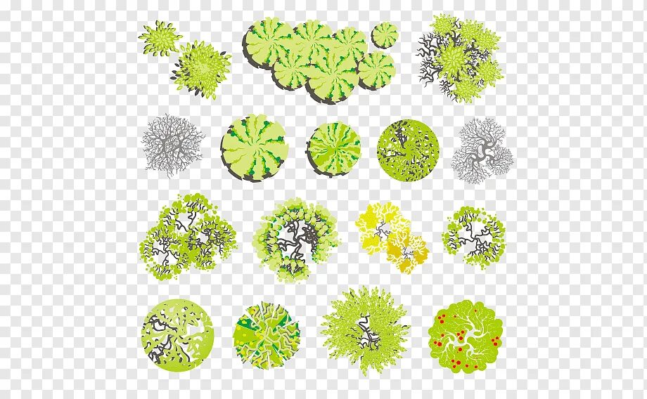 Plan plant. Векторные деревья вид сверху. Кустарники на плане. Кусты и деревья вид сверху. Растения для генплана.