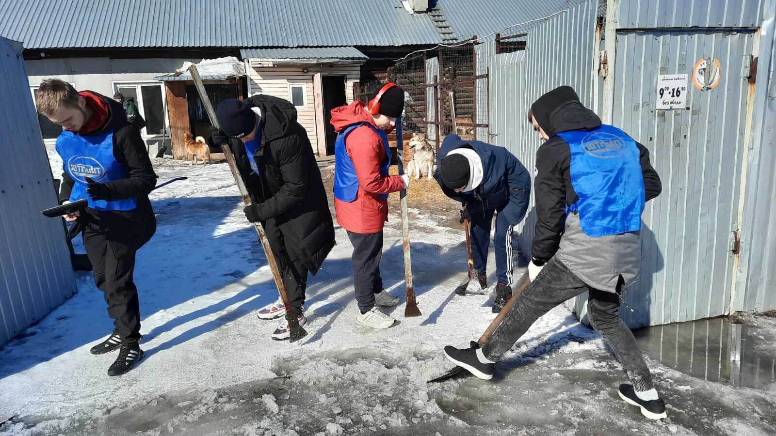 Волонтерское дело доброе дело. Дела волонтеров. Добрые дела волонтеров. Добрые дела волонтеры сво. Добровольцы в деле.