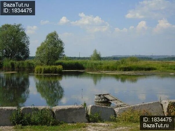 Горный борок в кстовском районе. Снт борок великие луки. Горный борок. Снт борок великие луки. Деревня луговой борок нижегородская область.