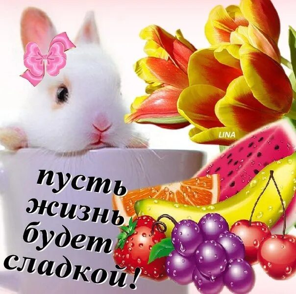 С днем работника торговли. Бытовой плакат. С днём рождения здоровья. Пусть будут товары. Добрый день красивые слова.