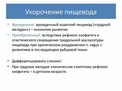 Грудной желудок