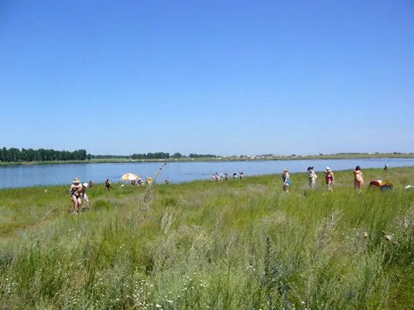 Три озера в завьялово алтайский край. 330 озер завьялово алтайский край. Щелочное озеро в завьялово. Щелочное озеро алтайский. Солёное озеро в алтайском крае завьялово.
