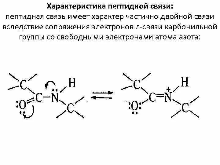 Связаны пептидными связями. Резонансные структуры пептидной связи. Строение и характеристика пептидной связи. Частично двойной характер пептидной связи. Разрушение пептидной связи реакция.