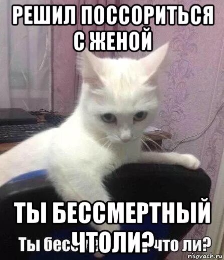 бессмертный давай. сериал про бессмертного детектива. стихотворение бессмертный полк. ты что бессмертный. приглашение на бессмертный полк.