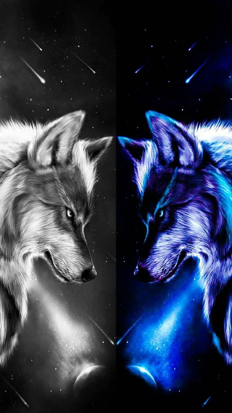 Волков про телефон. Волк обои. Два волка. Волк абстракция. Волк на телефон.