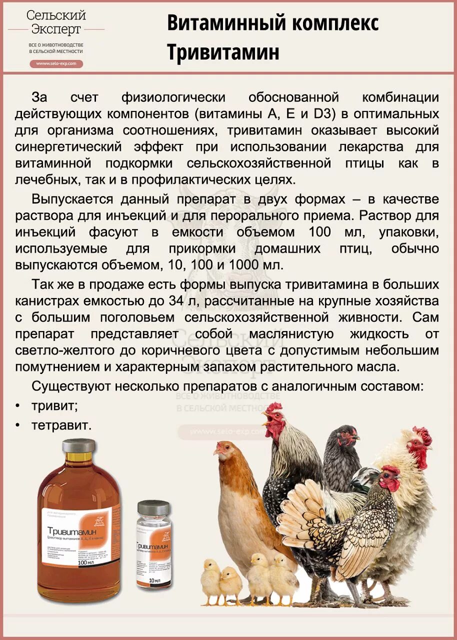 Витамины для индюшат. Антибиотики для кур. Цыплята пропоены витаминами. Белково-витаминно-минеральная добавка. Премикс для бройлеров.