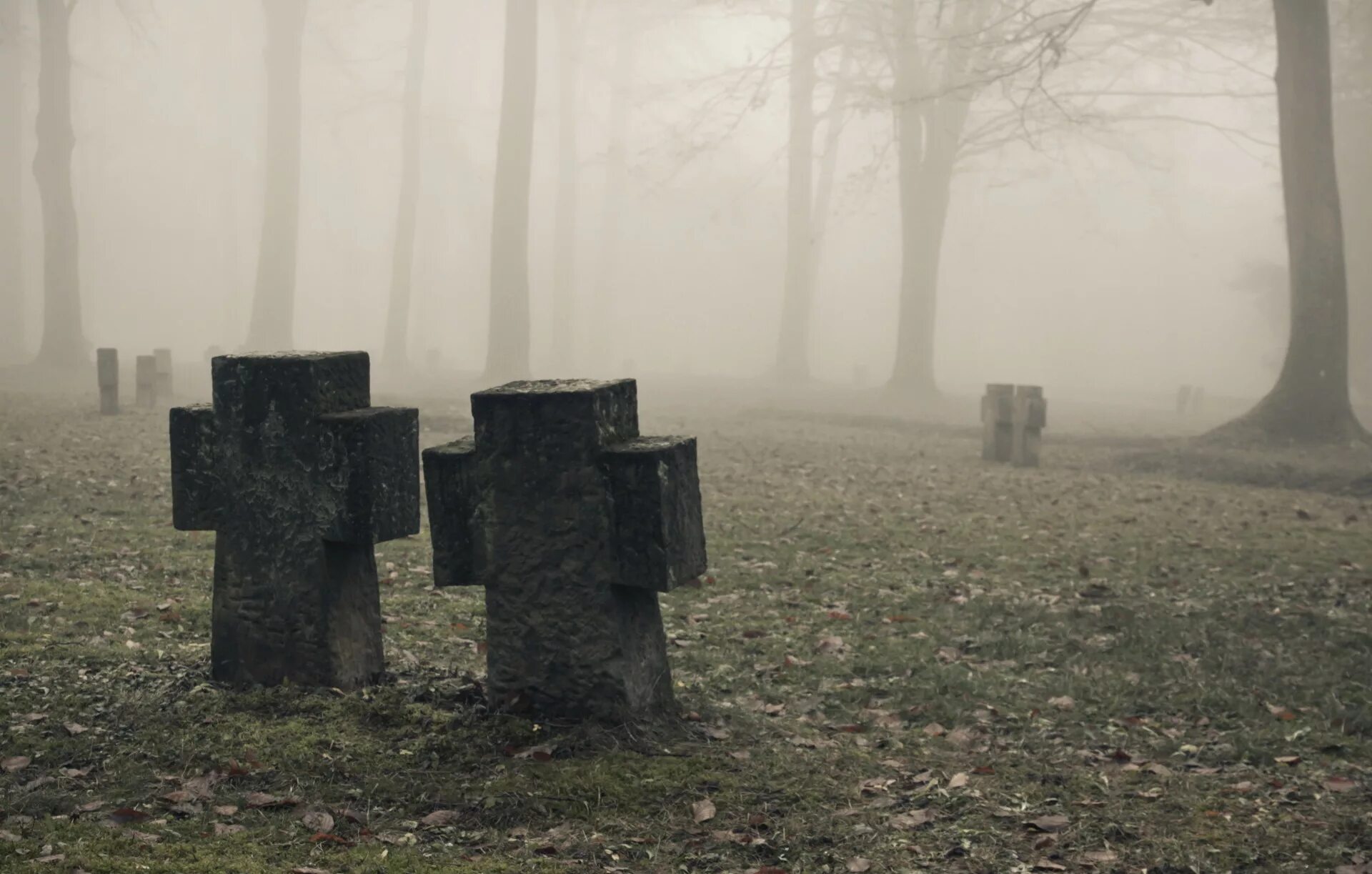 Graveyard chaos. Мрачное кладбище. Кладбище в тумане. Мрачный фон кладбище. Могила в лесу.