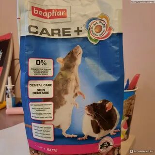 Лучший корм для крыс