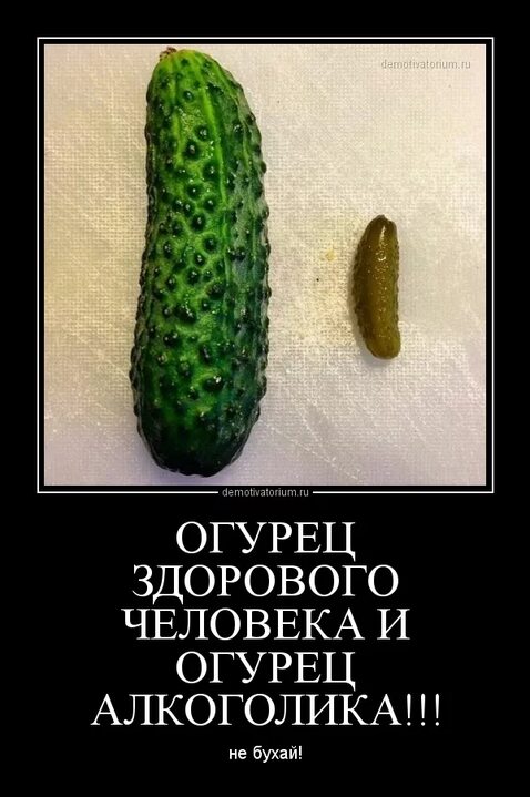 Посмеялся сам - поделись с другом!!!