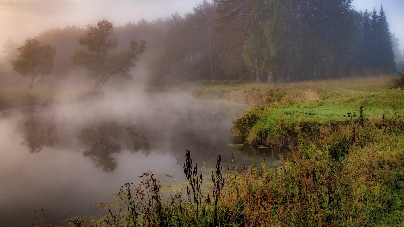 Туман на реке. Лес утро туман река. Осенний туман. Туман картинки.