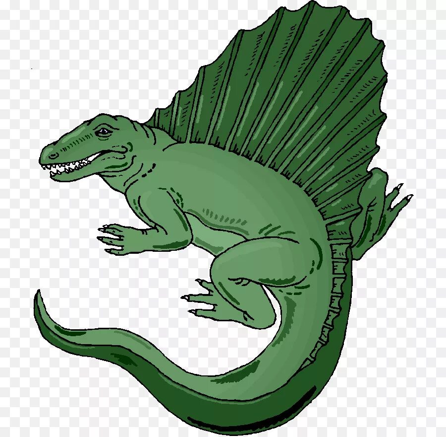 Диметродон динозавр. Динозавры анимация. Анимированный динозавр. Зеленый динозавр.