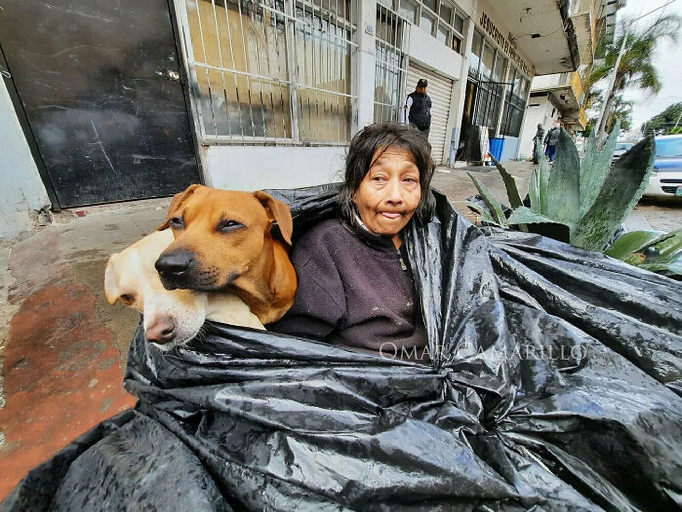 Homeless women. Бездомный щенок. Женщина с собакой. Женщина и бездомная собака.