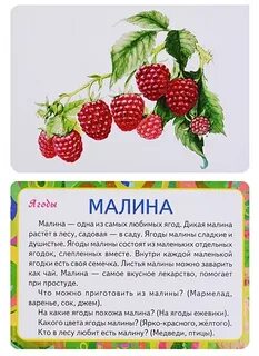Фруктов сочинения