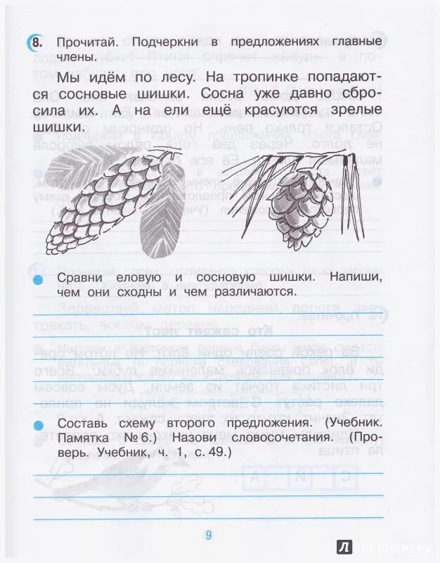 Словосочетание сосновую шишку. Составить схему предложения 2 класс Рамзаева. Схема предложения во 2 классе по Рамзаевой. Составить предложение со словом шишки. Схема предложения 3 класс Рамзаева русский.