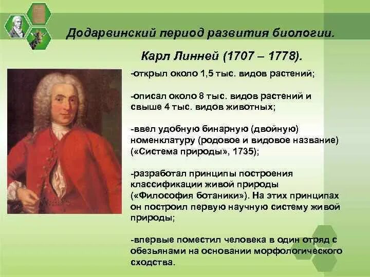 Линнеевский период развития биологии.