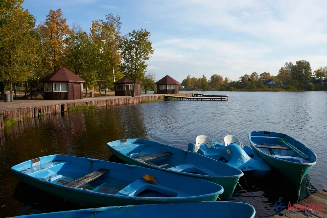 Озеро павлово колтуши. Колтуши ленинградская область озеро. Озеро павлово колтуши. Колтуши ленинградская область. Колтуши музей павлова.