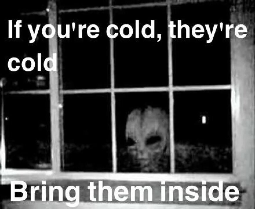 If youre cold theyre cold what's step 2. If youre cold theyre cold what's step 2. Холодно cartoon. __you __a cold?. Re cold.