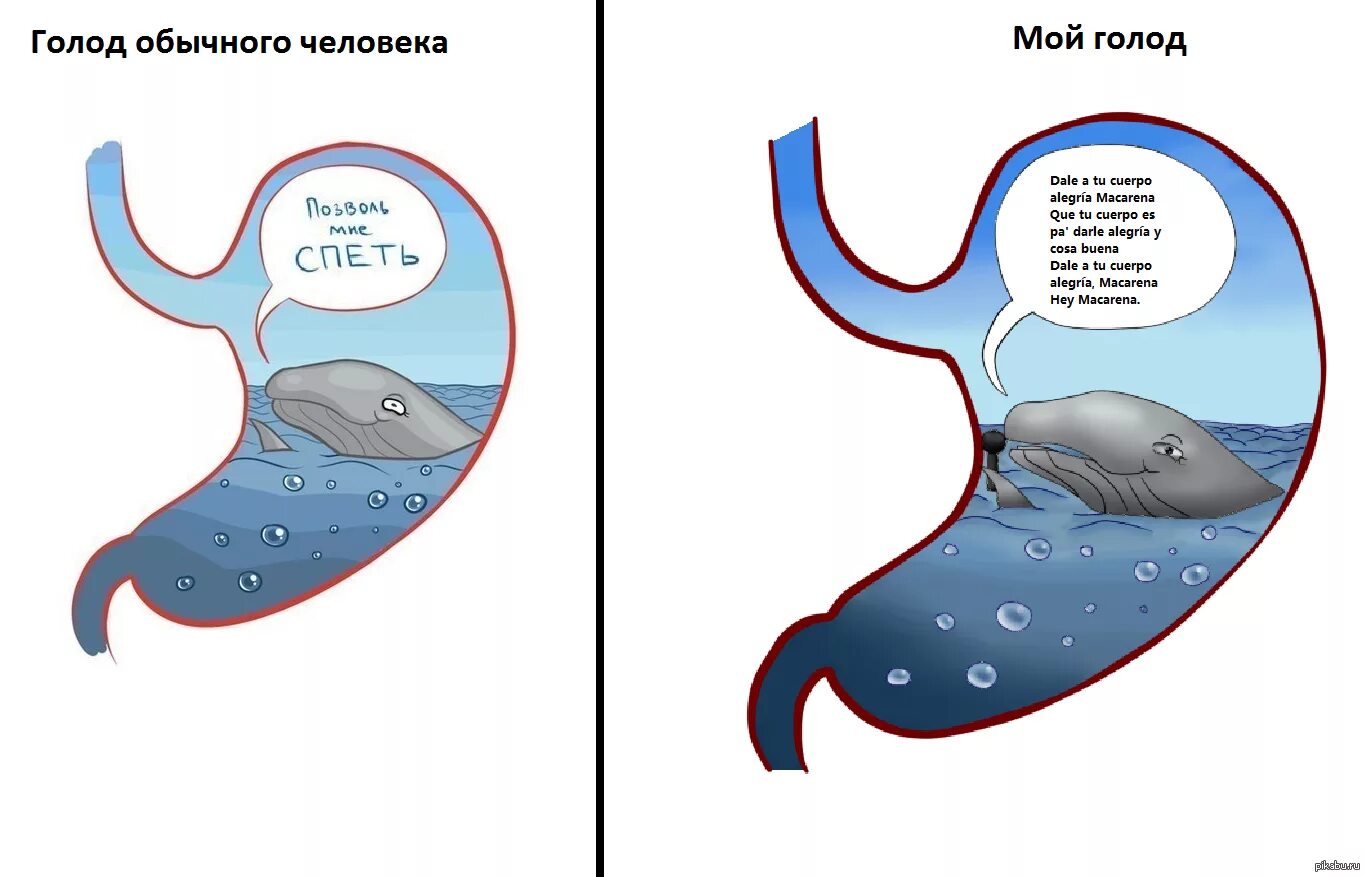 Урчание в животе рисунок. Позволь мне спеть кит желудок. Почему урчит когда голодный