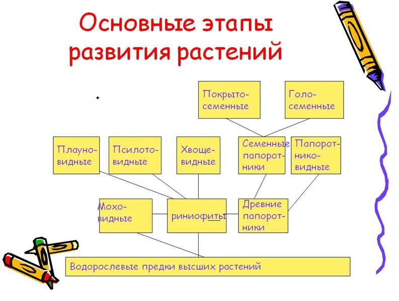 Появления основных групп растений на земле. Схема происхождения высших растений 5 класс биология. Происхождение растений 5 класс биология.