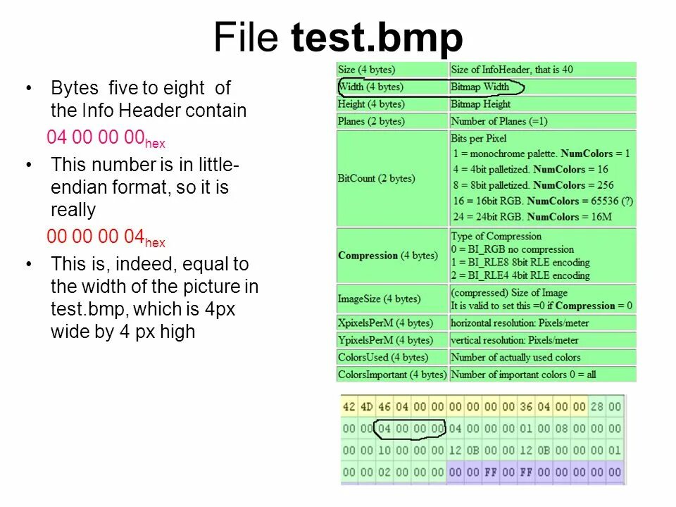 Go test file