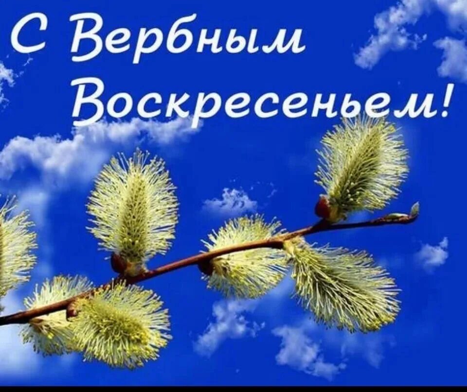 Вербное воскресенье 2. С Вербным воскресеньем. С праздником Вербное воскресенье. С верьеым восуревегьем. Смуербным воскресеньем.