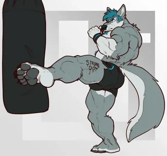 Fury muscle 18