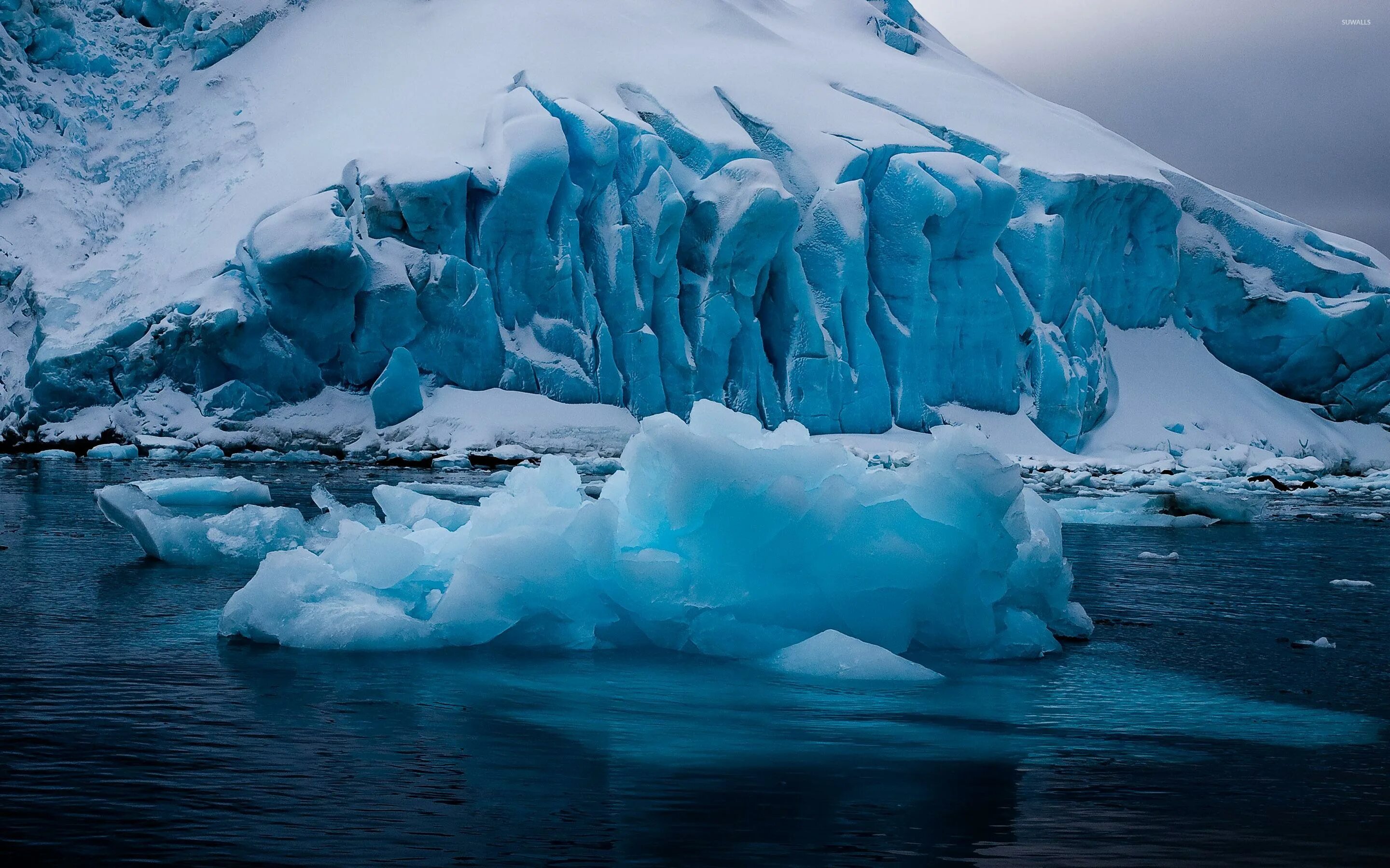Река бассейна северного ледовитого океана северной америки. Глейшер ледники. Исландия Северный Ледовитый океан. Таяние ледников 4к. Ледник Франца-Иосифа сверху.