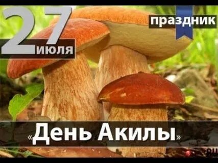 27 июля народный календарь