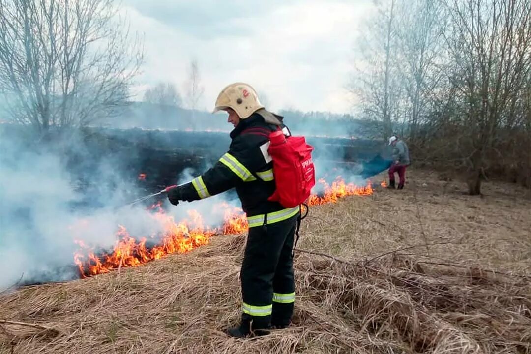 Можно ли жечь ветки на своем участке. Травяной пожар. Тушение травы. Тушение пала травы. Лесные пожары.