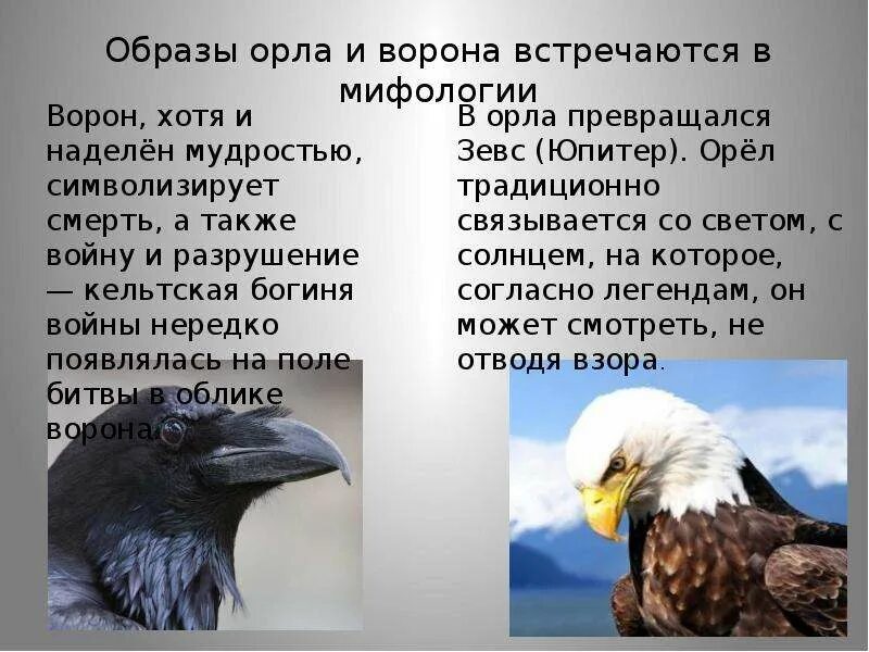 Притча об Орле и вороне. Орел и ворон притча. Притча про орла и ворона. Орлы и вороны притча. Два ворона текст