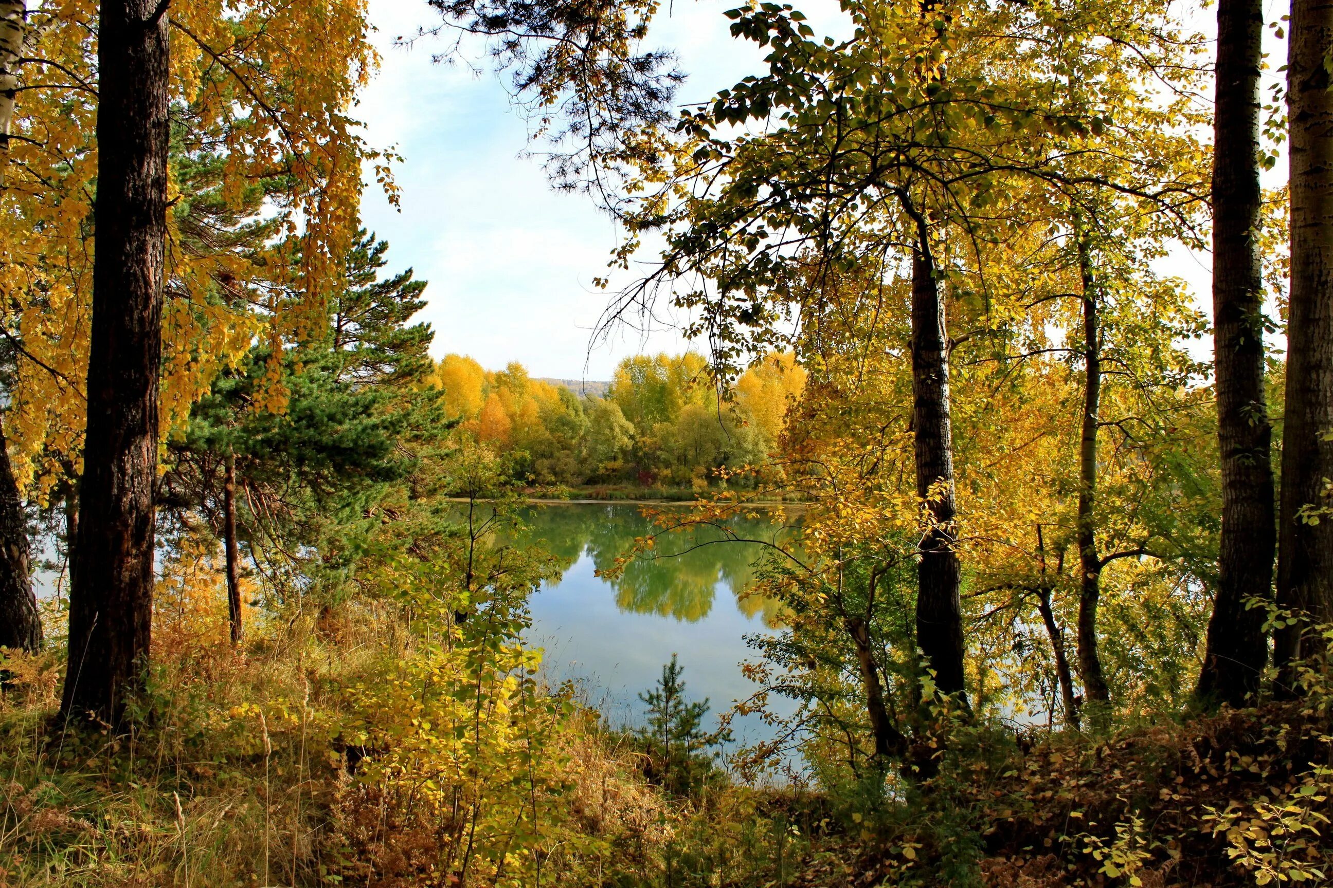 Осень в России. Сентябрьский пейзаж. Осенний лес сентябрь. Русская природа
