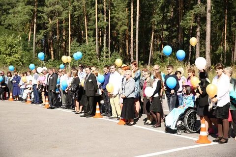 Реабилитационный центр сосновый