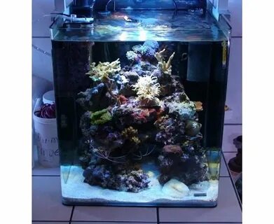Морской аквариум 30