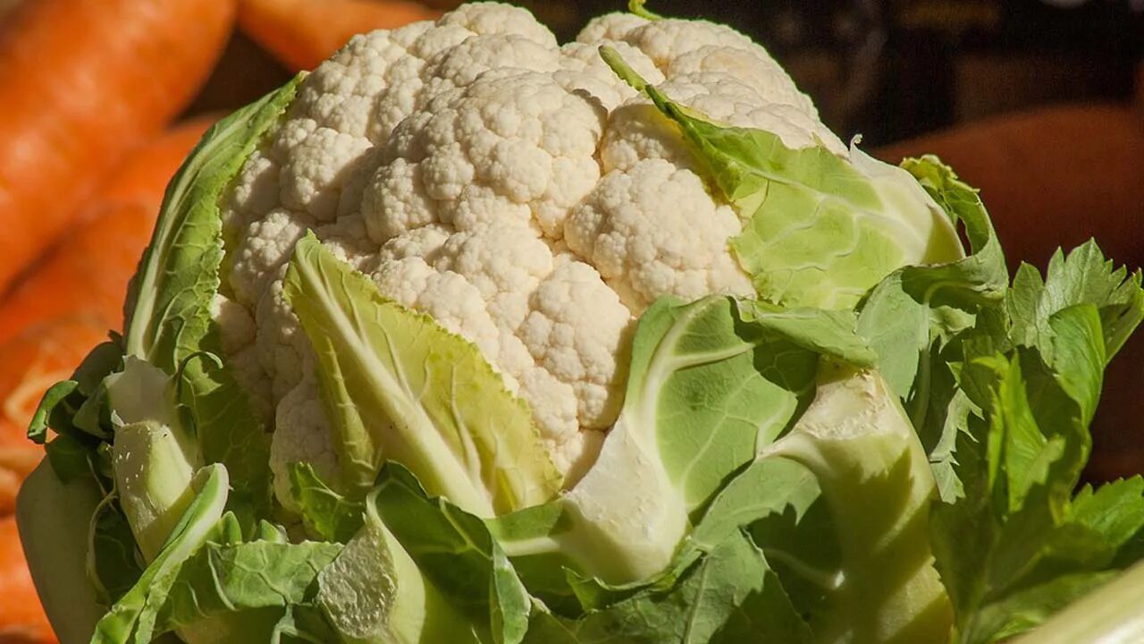 рецепт рубленной капусты. рецепт рубленной капусты. рецепт рубленной капусты. рецепт рубленной капусты. майонез белорусский с огурцом и укропом.