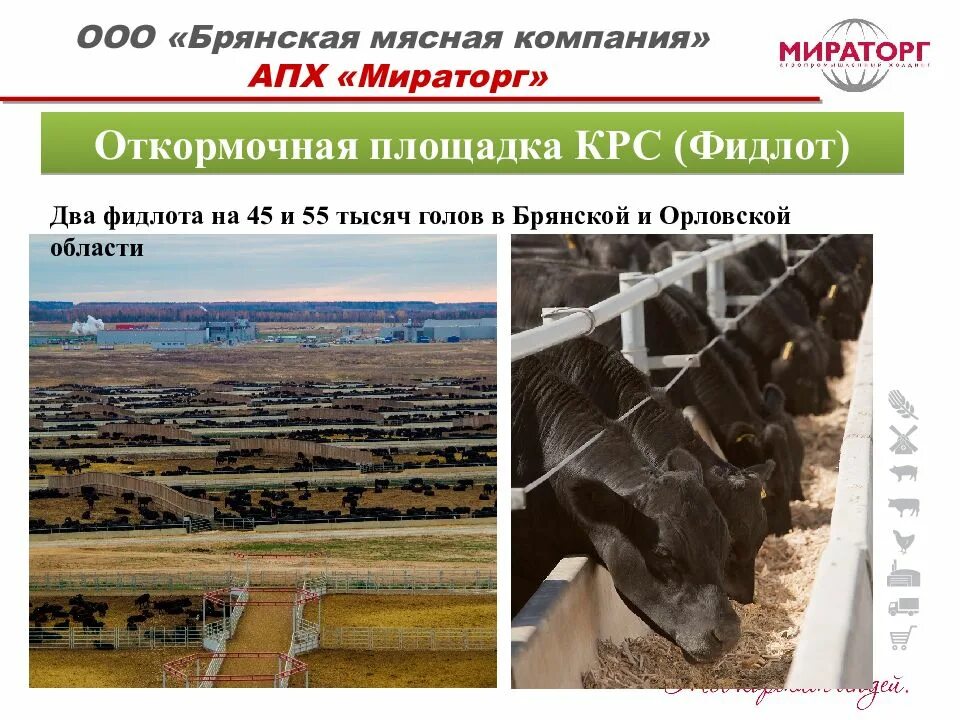 Мираторг холдинг. Вакансии мираторга в брянске. Мираторг курск. Завод мираторг в курске. Мираторг брянская область.