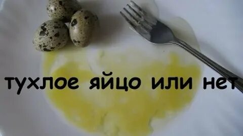 Как проверить перепелиные
