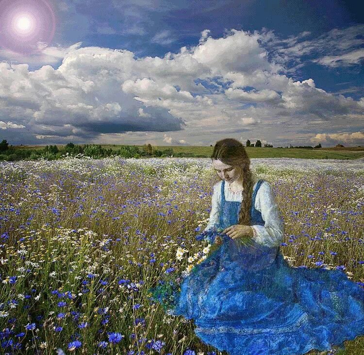 Хорошо ночами за околицу выходить навстречу теплым. Васильковое поле. Синие цветы в поле. Девушка с васильками.