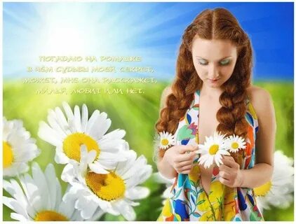 Песня гадала на ромашке любит не
