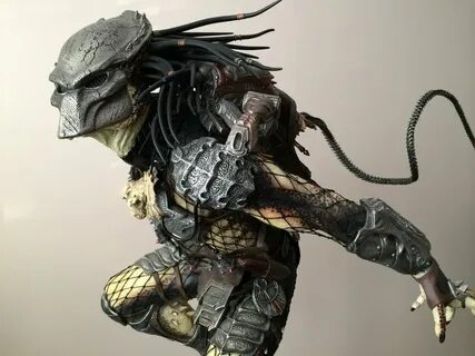 S predators