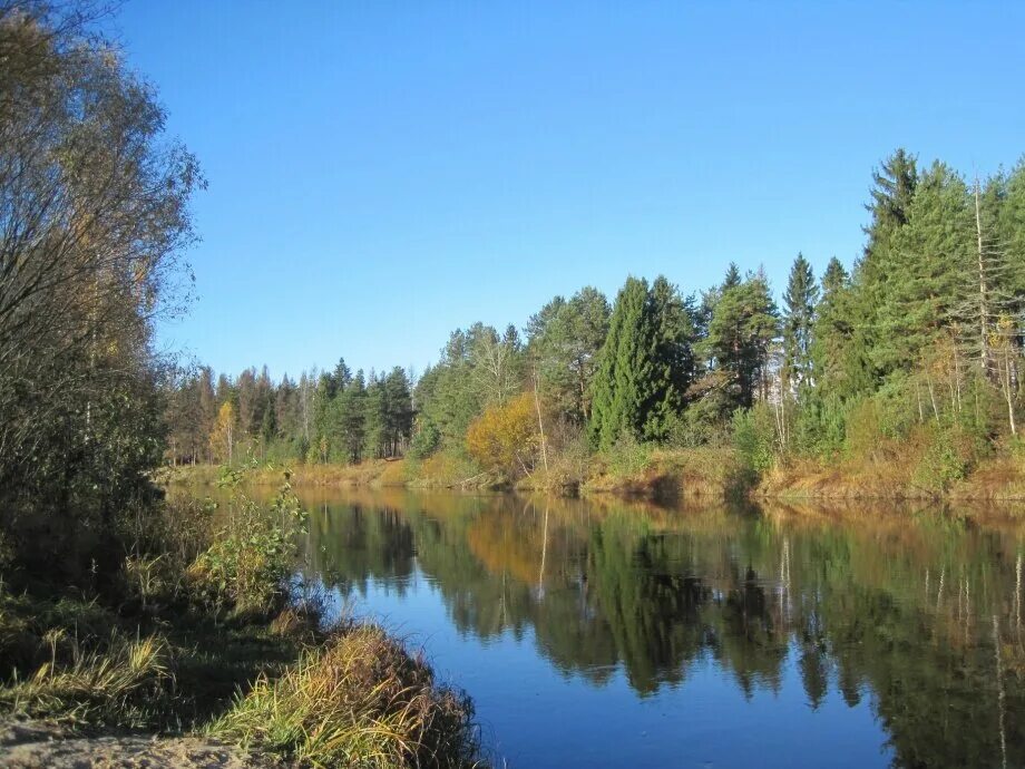 Река узола ковернино. Городец речка узола. Городец речка узола. Река узола нижегородская область. Река узола ковернино.
