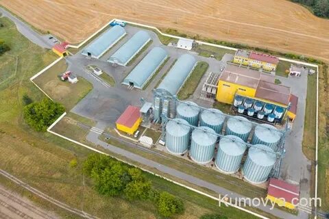 Ростовский завод комбикормов