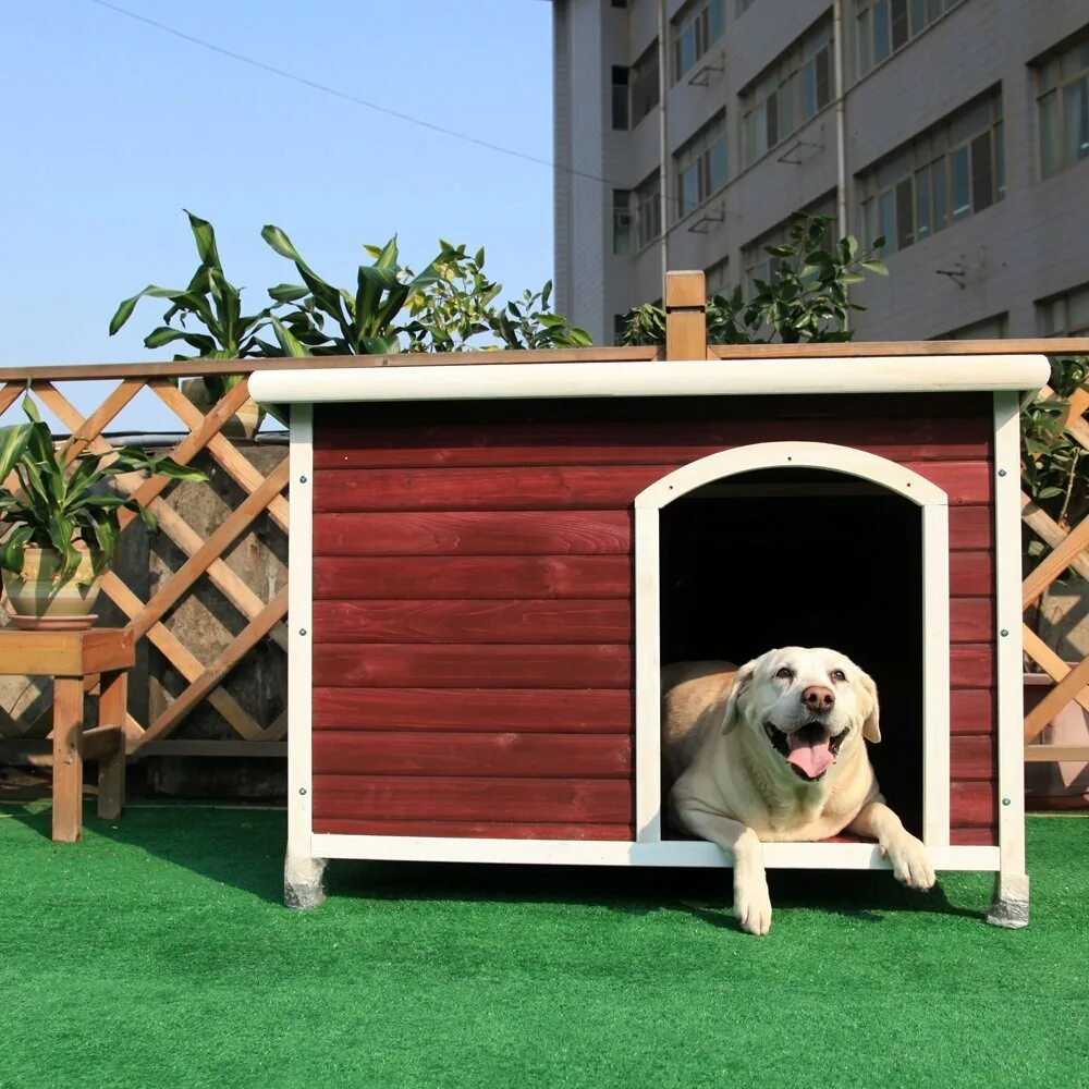 New dog house. Вольер для собаки лабрадор. Собака с конурой. Собачья будка. Домик для собаки на улице.